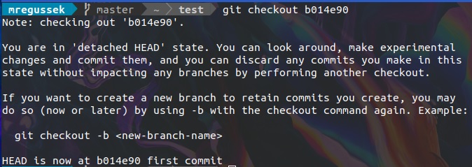 git checkout <commit>